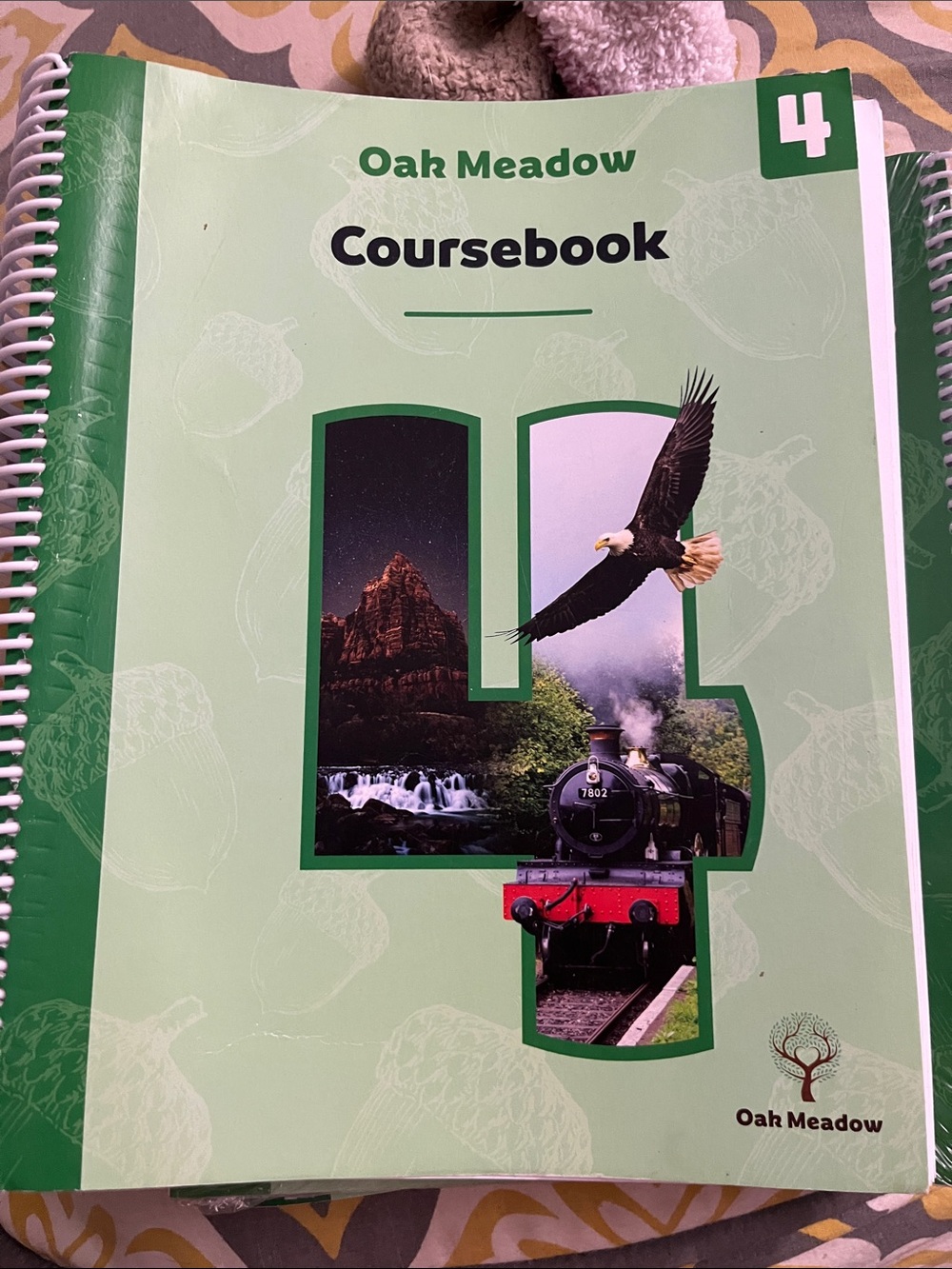Oak Meadow Kids Coursebook – Green (Grade 4)